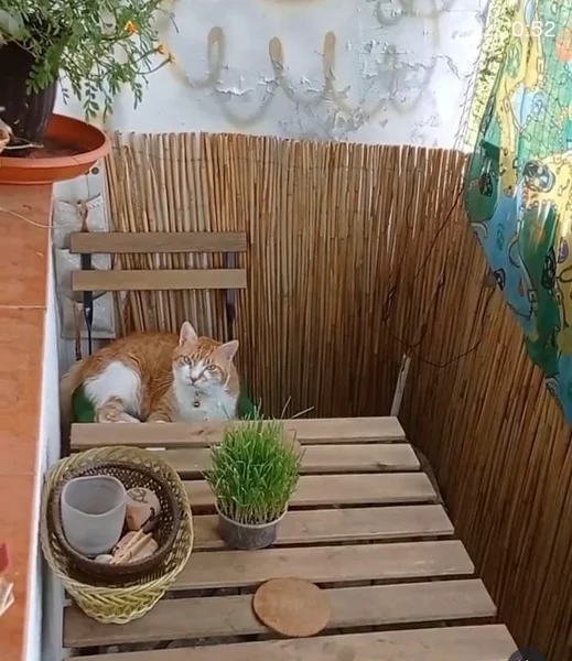 Drumul Taberei Plaza Mall