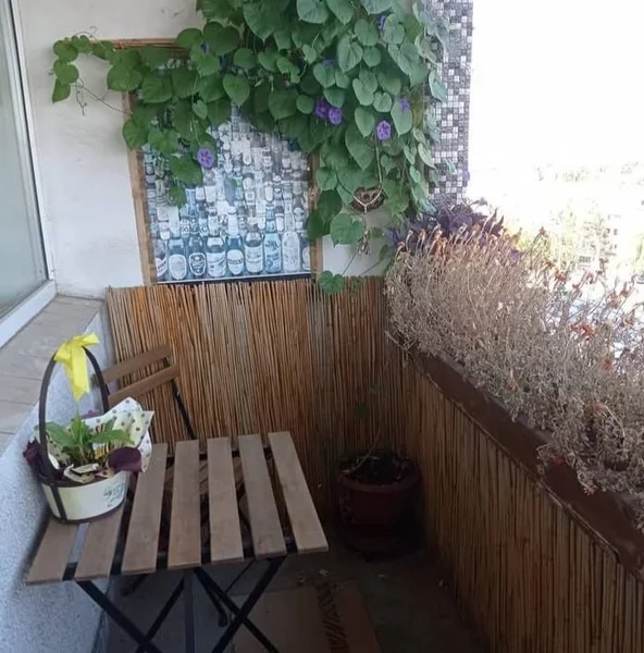 Drumul Taberei Plaza Mall